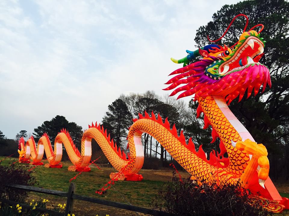 dragon